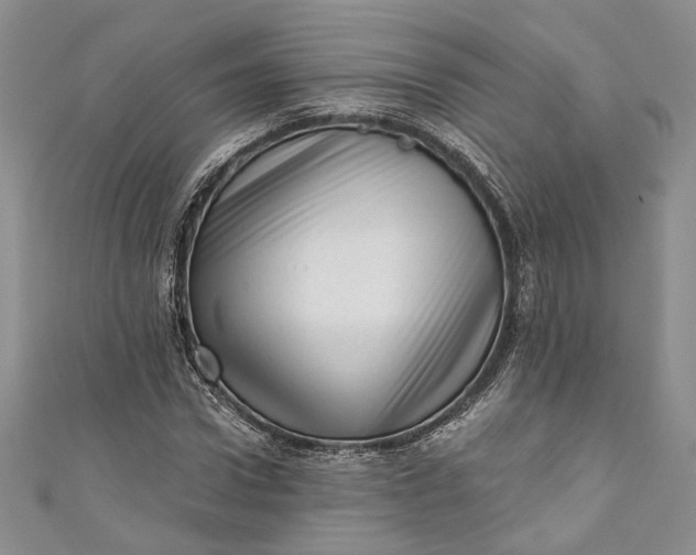 X0000110880922200907021454