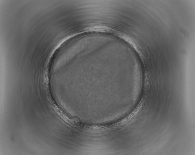 X0000110880923200907021454