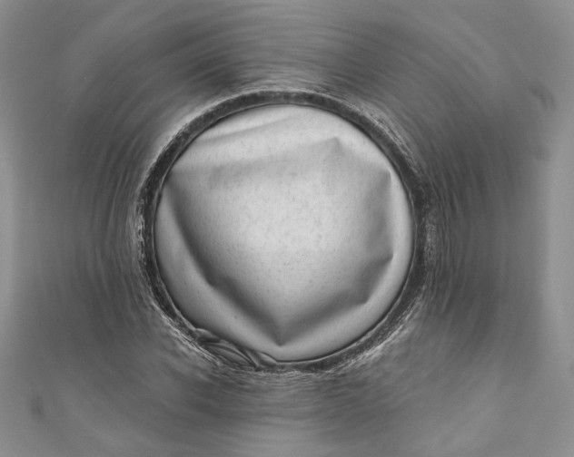 X0000110880926200907021454