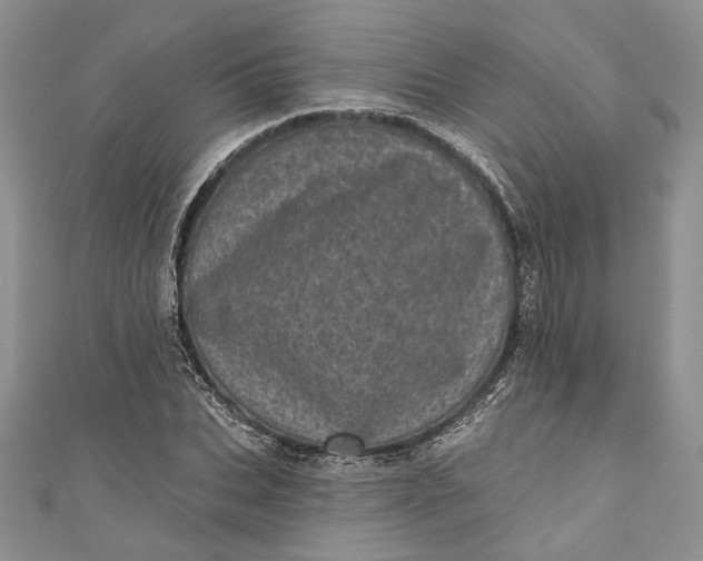 X0000110880927200907021454