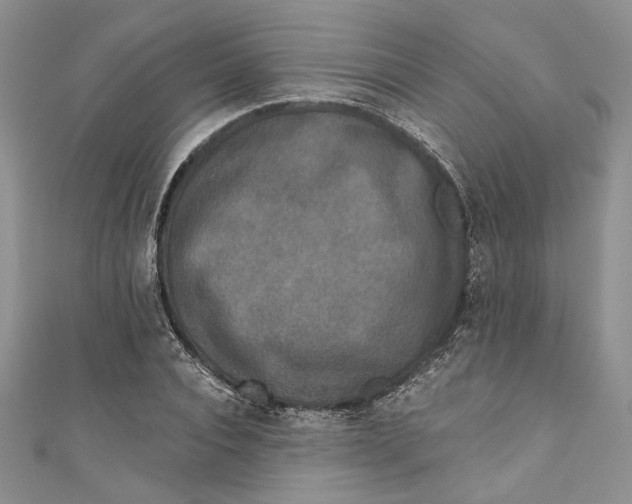 X0000110880928200907021454