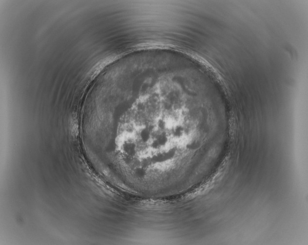 X0000110880929200907021454