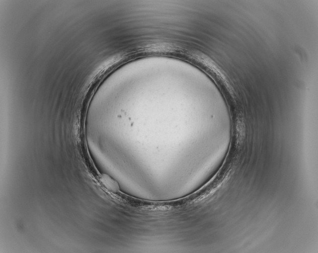 X0000110880930200907021454