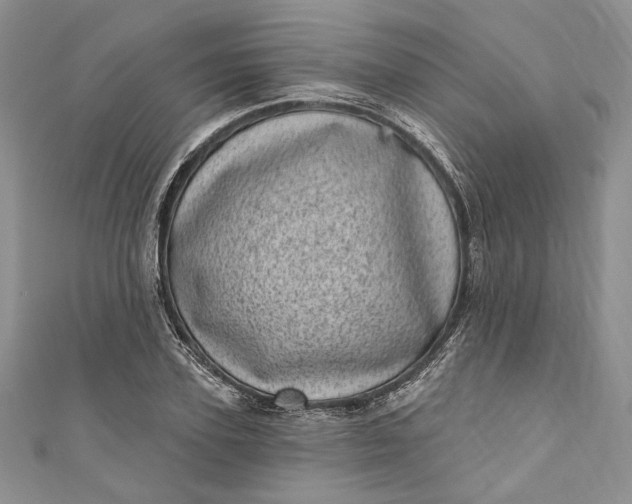 X0000110880931200907021454