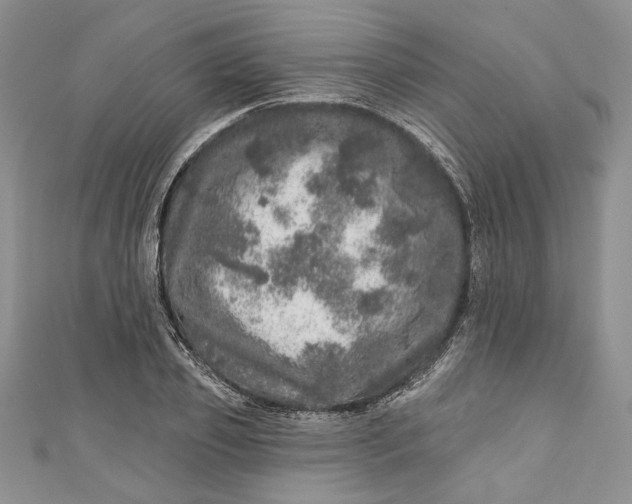 X0000110880933200907021454