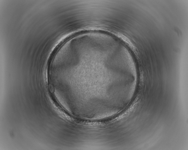 X0000110880934200907021454