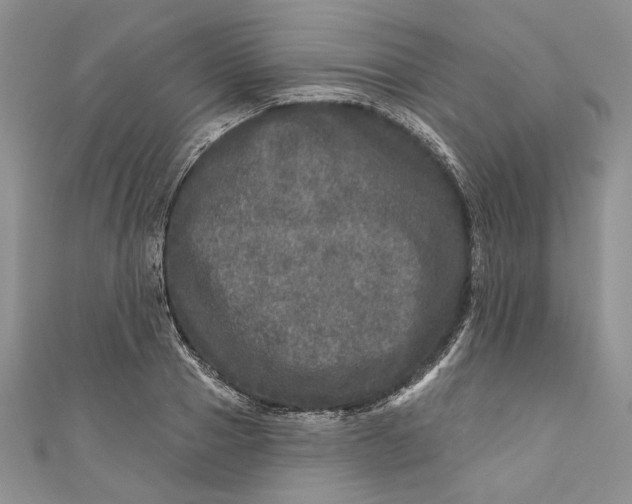 X0000110880937200907021454