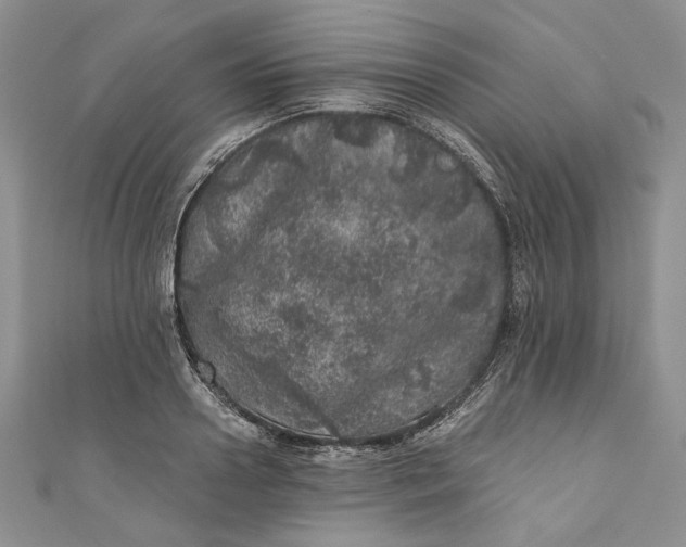 X0000110880938200907021454