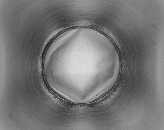 X0000110880939200907021454