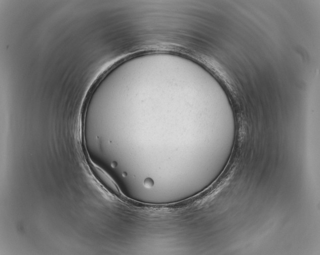 X0000110880940200907021454