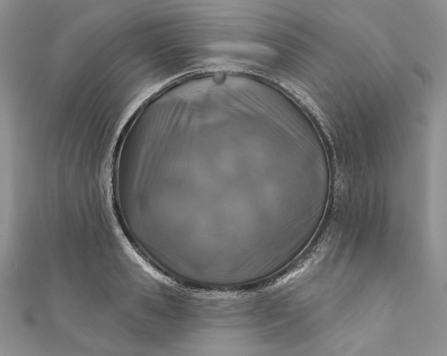 X0000110880941200907021454