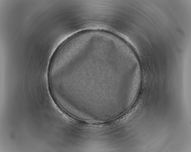 X0000110880943200907021454