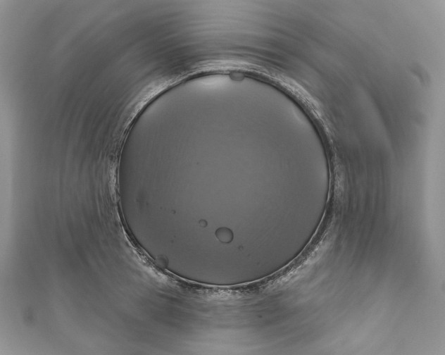 X0000110880945200907021454