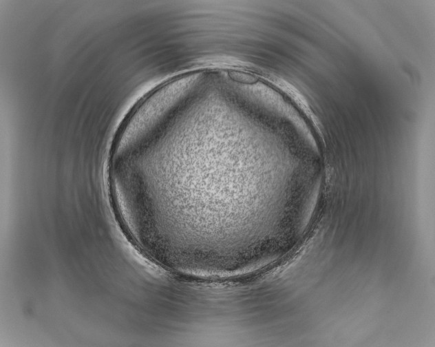 X0000110880947200907021454