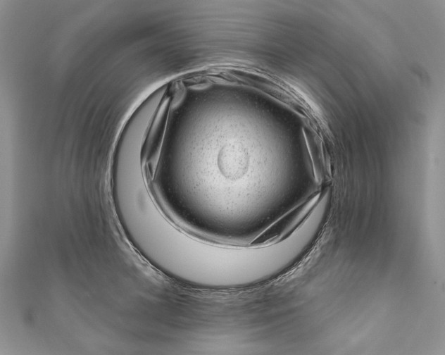 X0000110880948200907021454