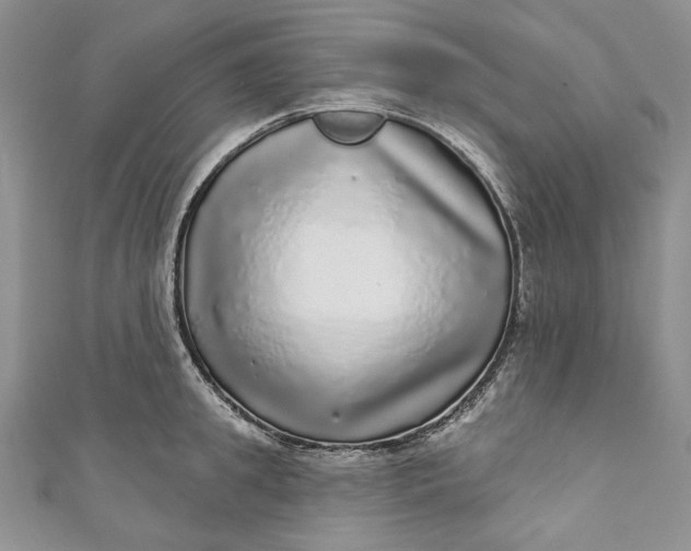 X0000110880949200907021454
