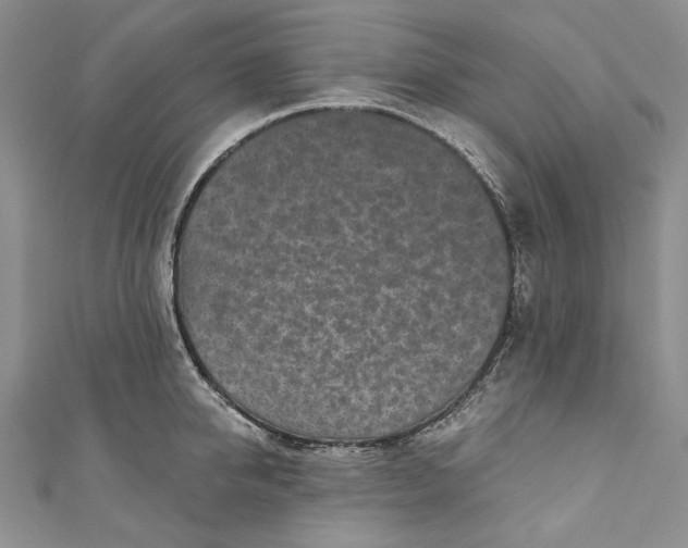 X0000110880950200907021454