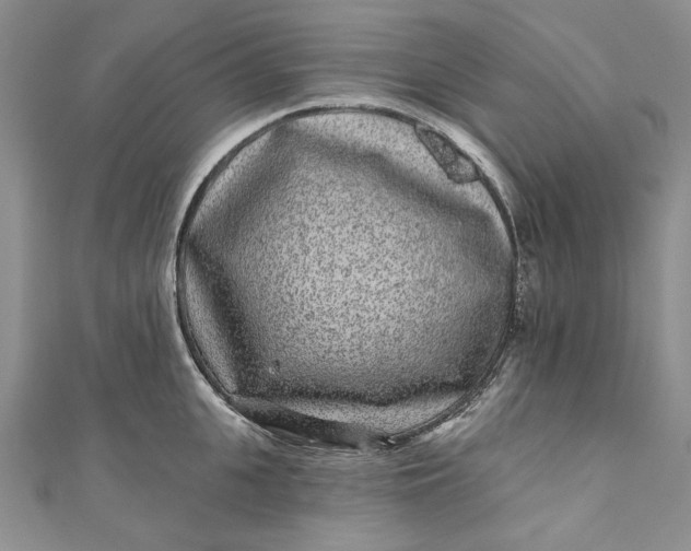X0000110880951200907021454