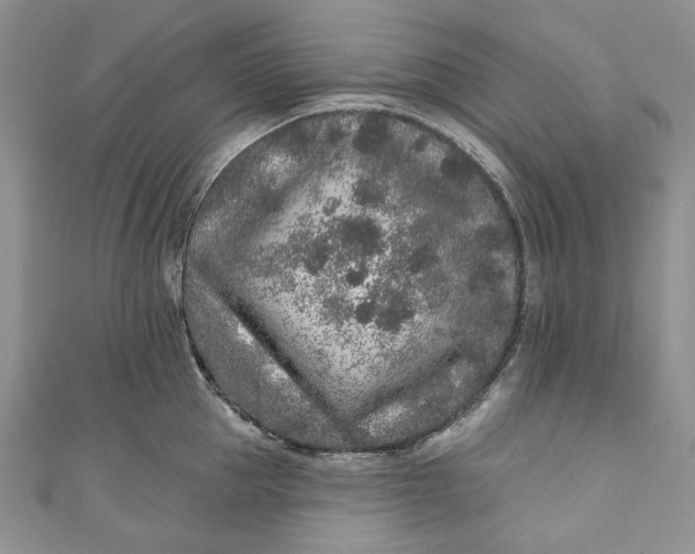 X0000110880953200907021454
