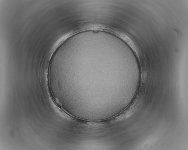 X0000110880954200907021454