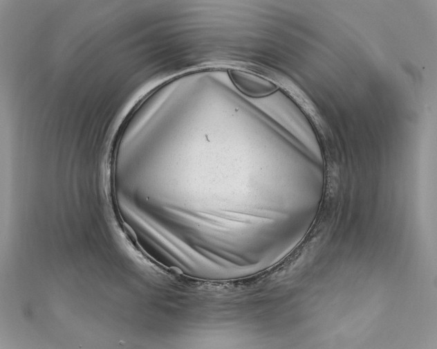 X0000110880955200907021454