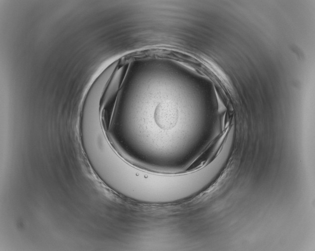 X0000110880956200907021454
