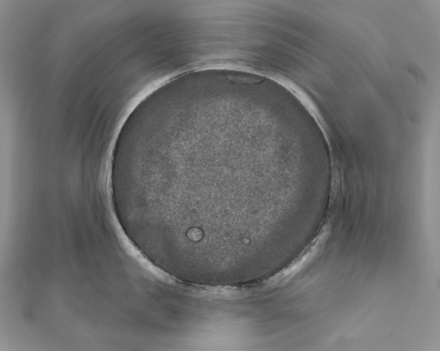 X0000110880957200907021454