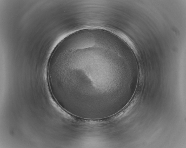 X0000110880958200907021454