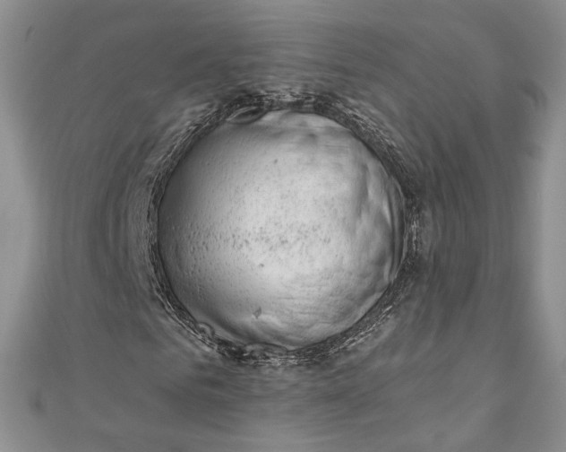 X0000110880961200907021454