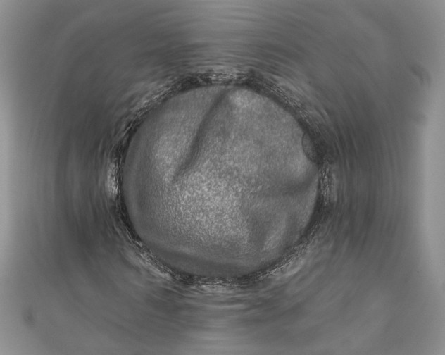 X0000110880962200907021454