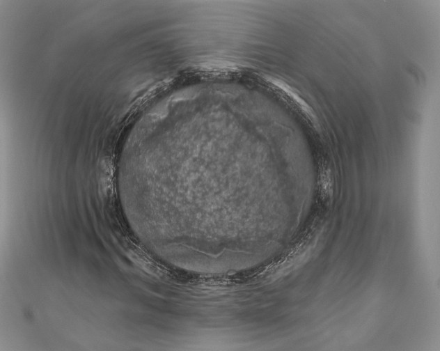 X0000110880964200907021454