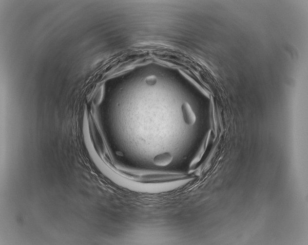 X0000110880965200907021454