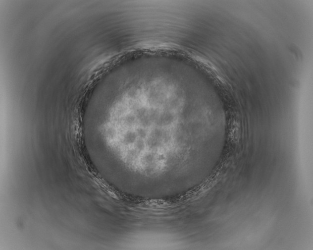 X0000110880966200907021454