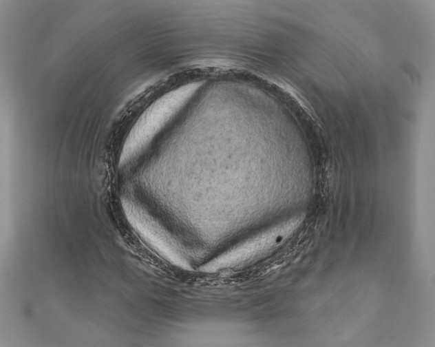 X0000110880967200907021453