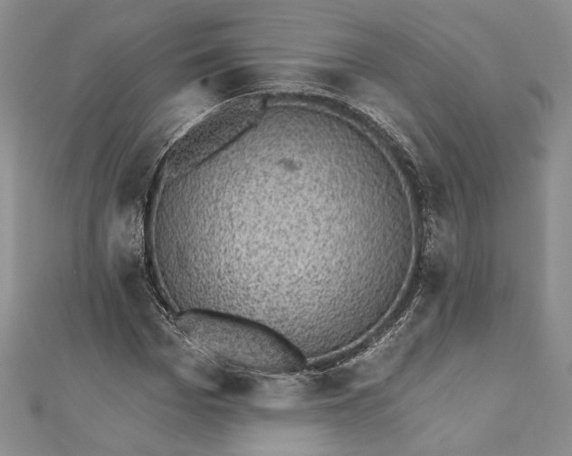 X0000110880969200907021453