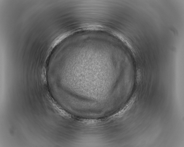 X0000110880970200907021453