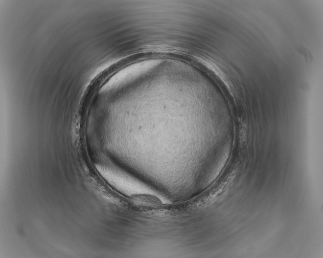 X0000110880971200907021453