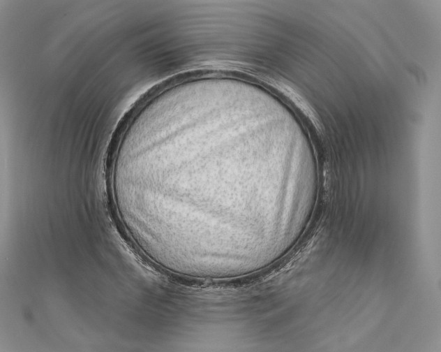 X0000110880972200907021453