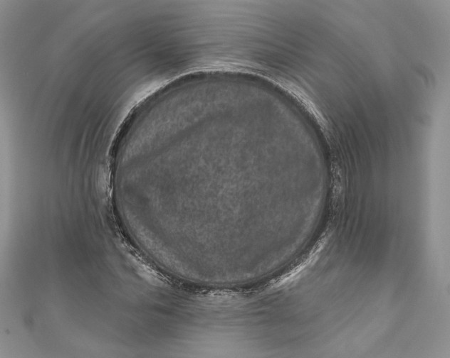 X0000110880974200907021453