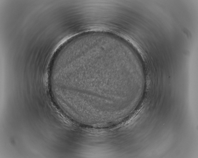 X0000110880975200907021453