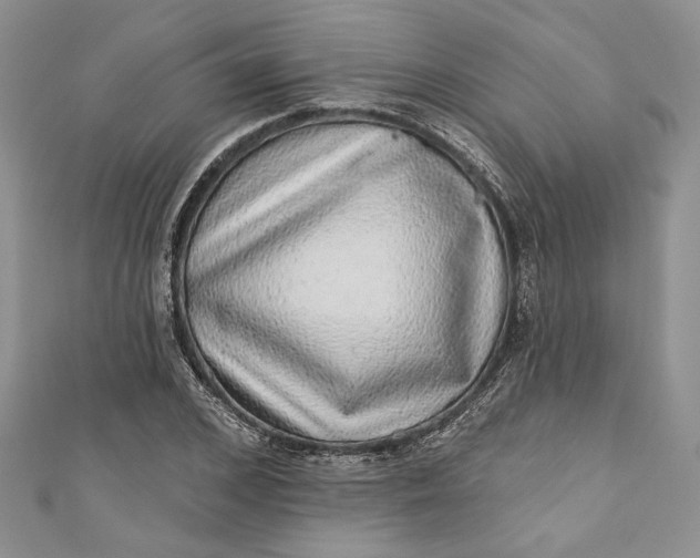 X0000110880976200907021453