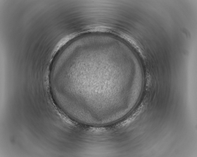 X0000110880978200907021453