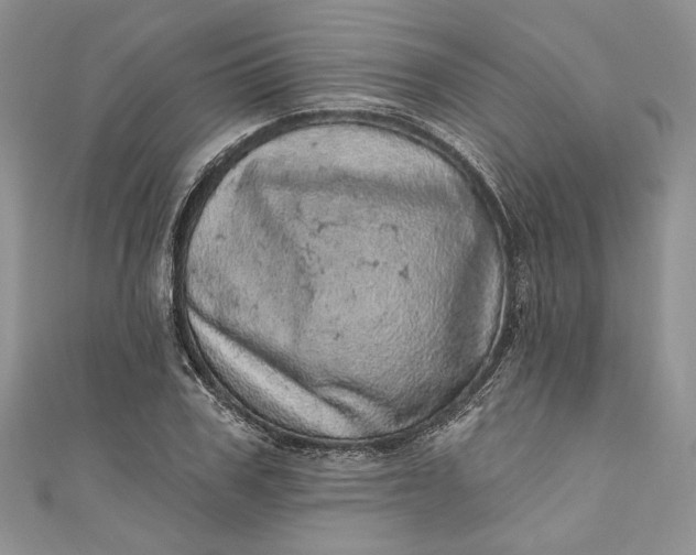 X0000110880979200907021453