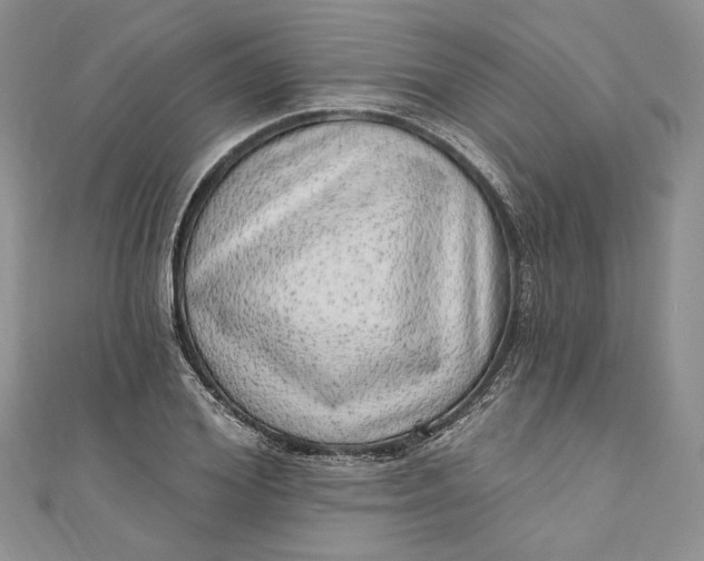 X0000110880980200907021453