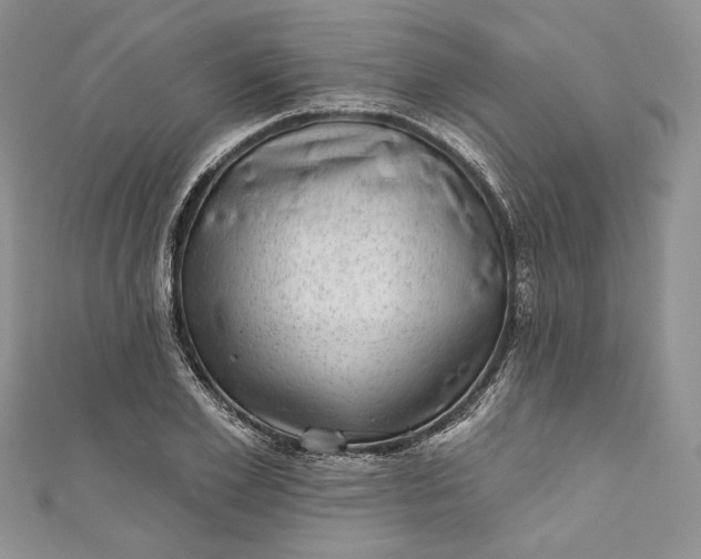 X0000110880981200907021453