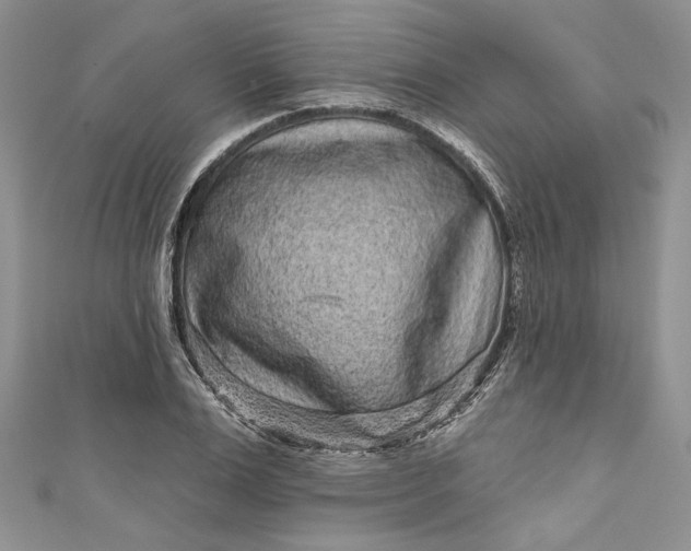 X0000110880983200907021453