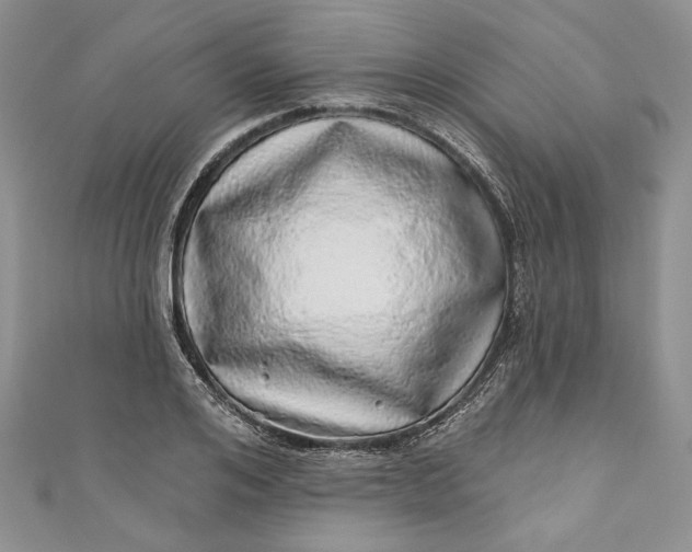X0000110880984200907021453