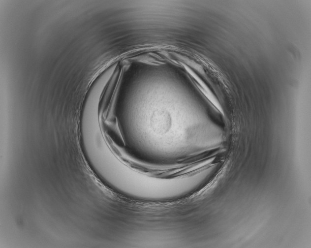 X0000110880985200907021453