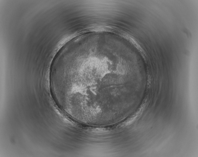 X0000110880986200907021453