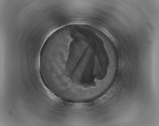 X0000110880988200907021453